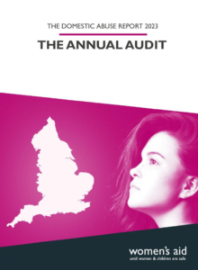 annual audit 2023 report cover