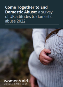 Evidence Hub: Come Together to End Domestic Abuse: a survey of UK attitudes to domestic abuse 2022