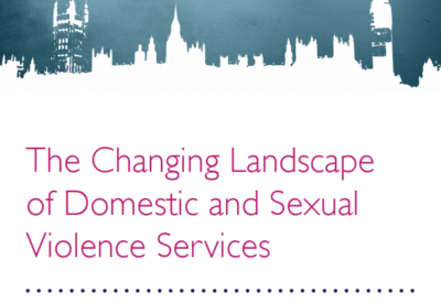 APPG Launch Report on New Inquiry into the Changing Landscape of Domestic and Sexual Violence Services